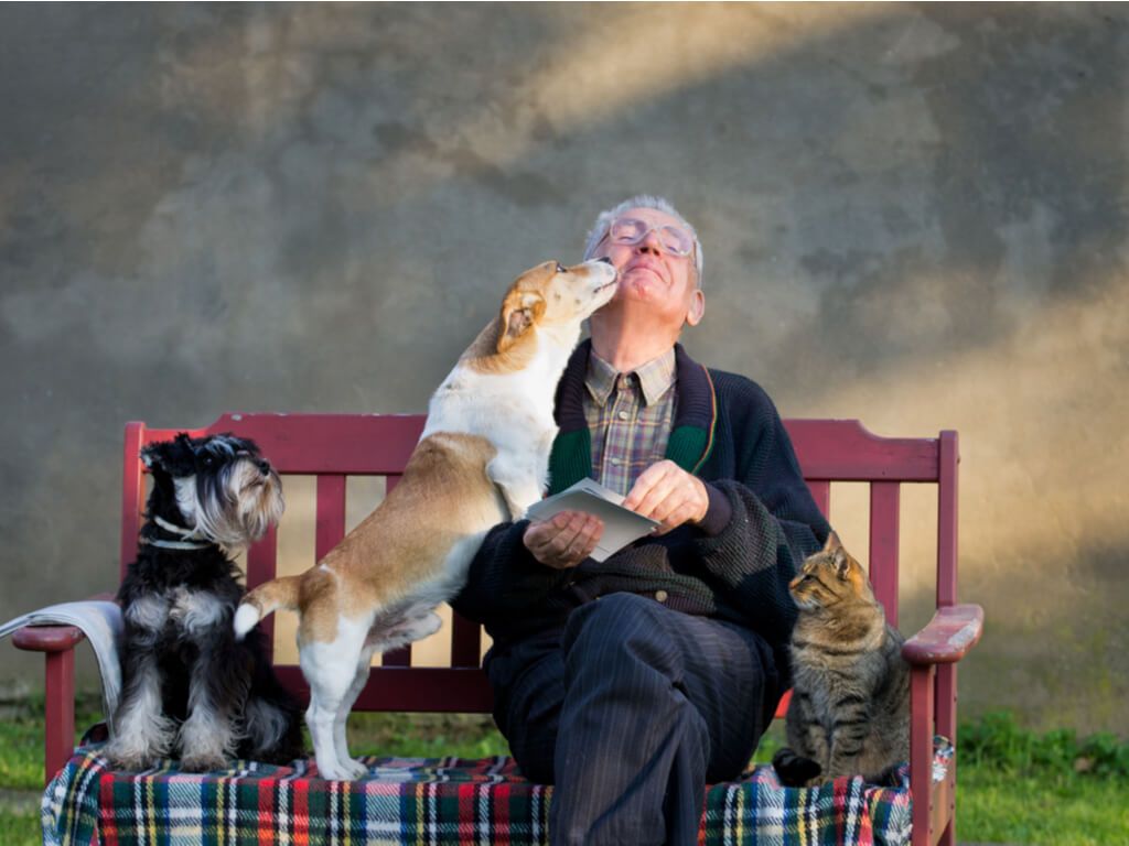 elderly man sitting with multiple pets and animals